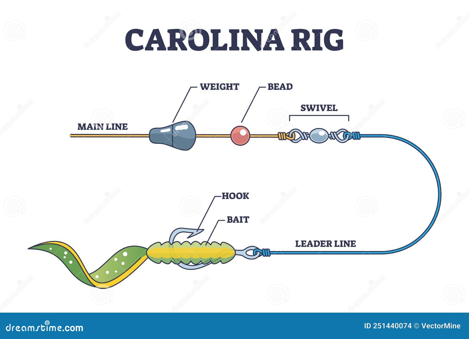 Carolina Rig and Fishing Bait Method for Bass Fish Catching