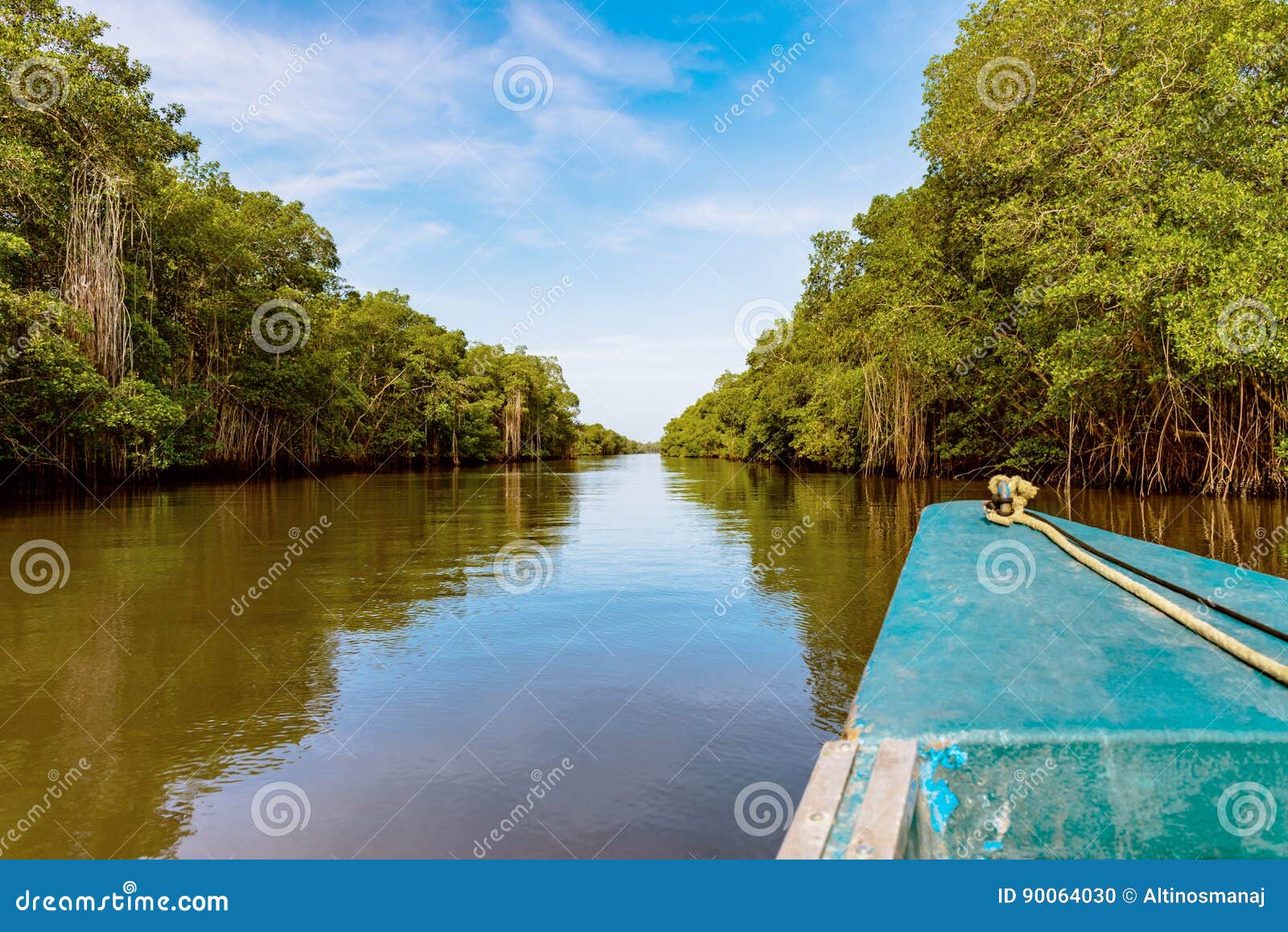 caroni river boat ride through dense mangroves reflection nature trinidad and tobago