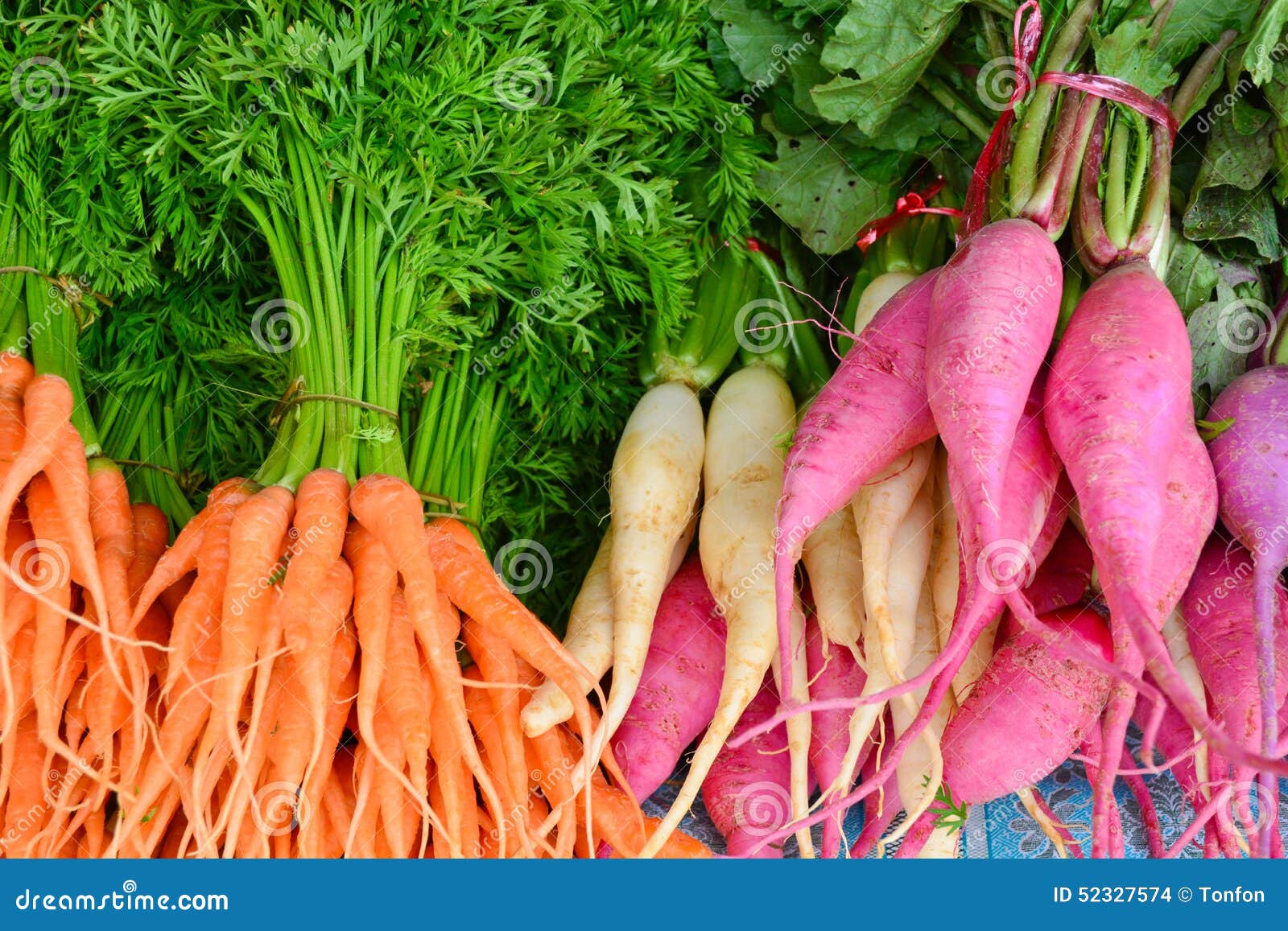 Carotte De Bebe Et Navet Rose Photo Stock Image Du Legume Sain Carotte De Bebe Et Navet Rose Photo Stock Image Du Legume Sain