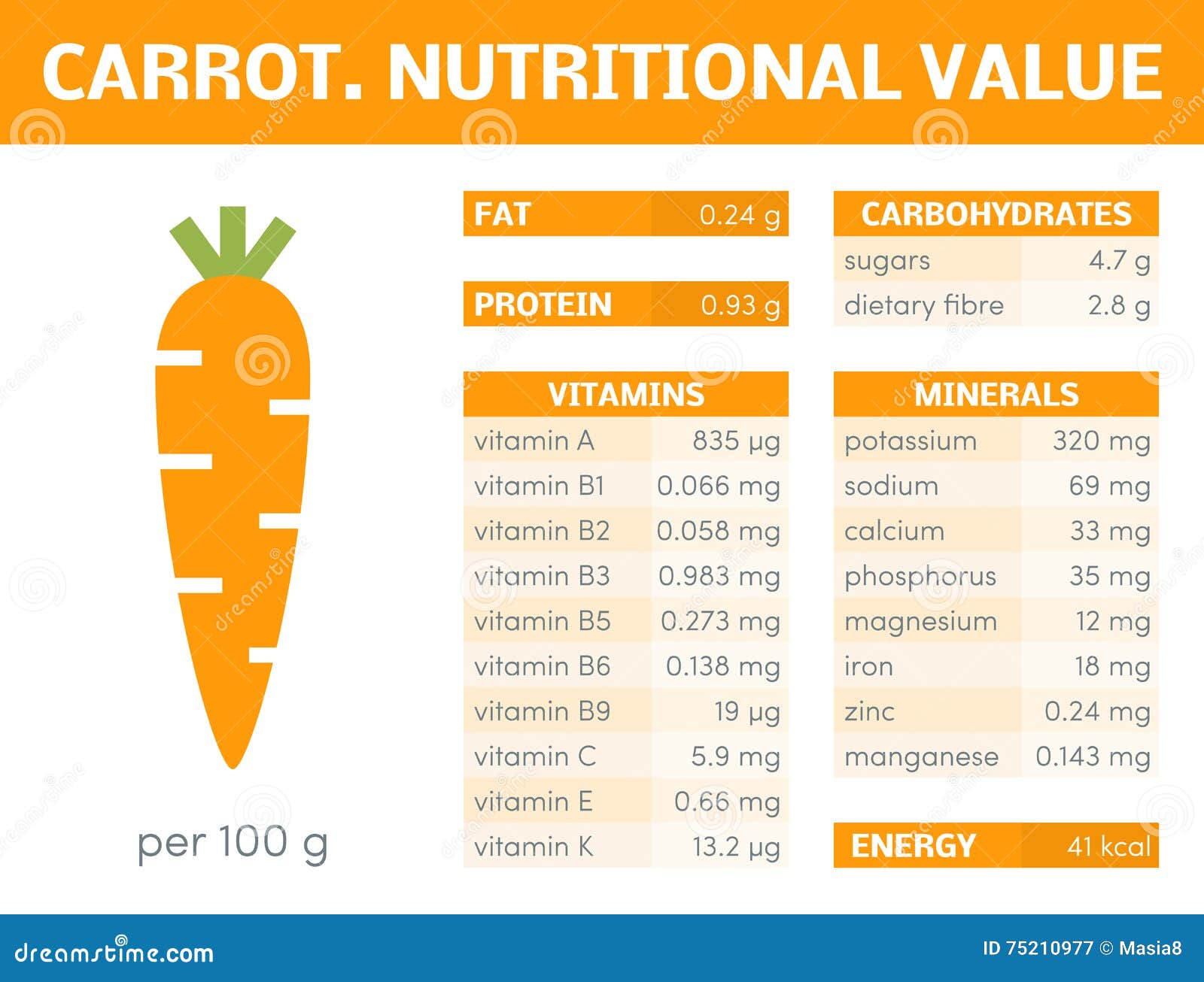 Carotte Infographic Illustration Stock Illustration Du Dessin