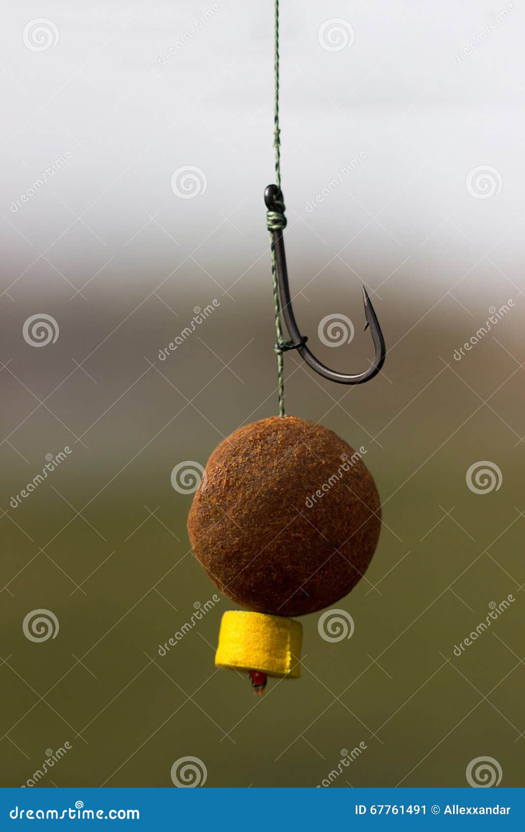 Carp Bait, Boili Hair, Blow Back Rig, Carp Hook Stock Image