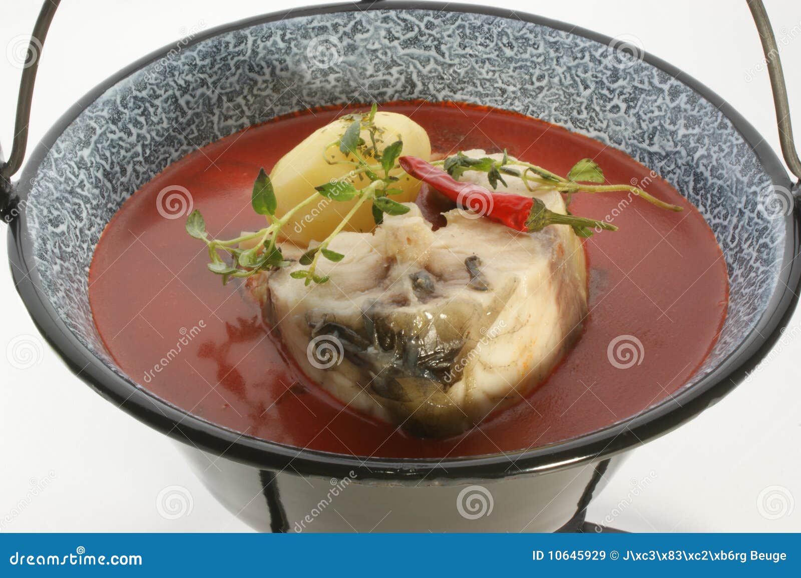 Carp Fish Soup with Organic Herbs Stock Image Image of soup, food