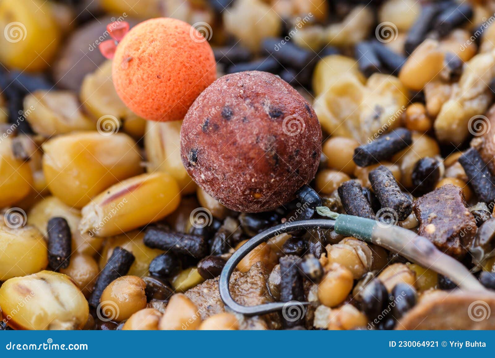 Carp Fishing Chod Rig.the Source Boilies with Fishing Hook. Fishing Rig for  Carps,Carp Boilies, Corn, Tiger Nuts and Hemp Stock Image - Image of  pellets, hobby: 230064921