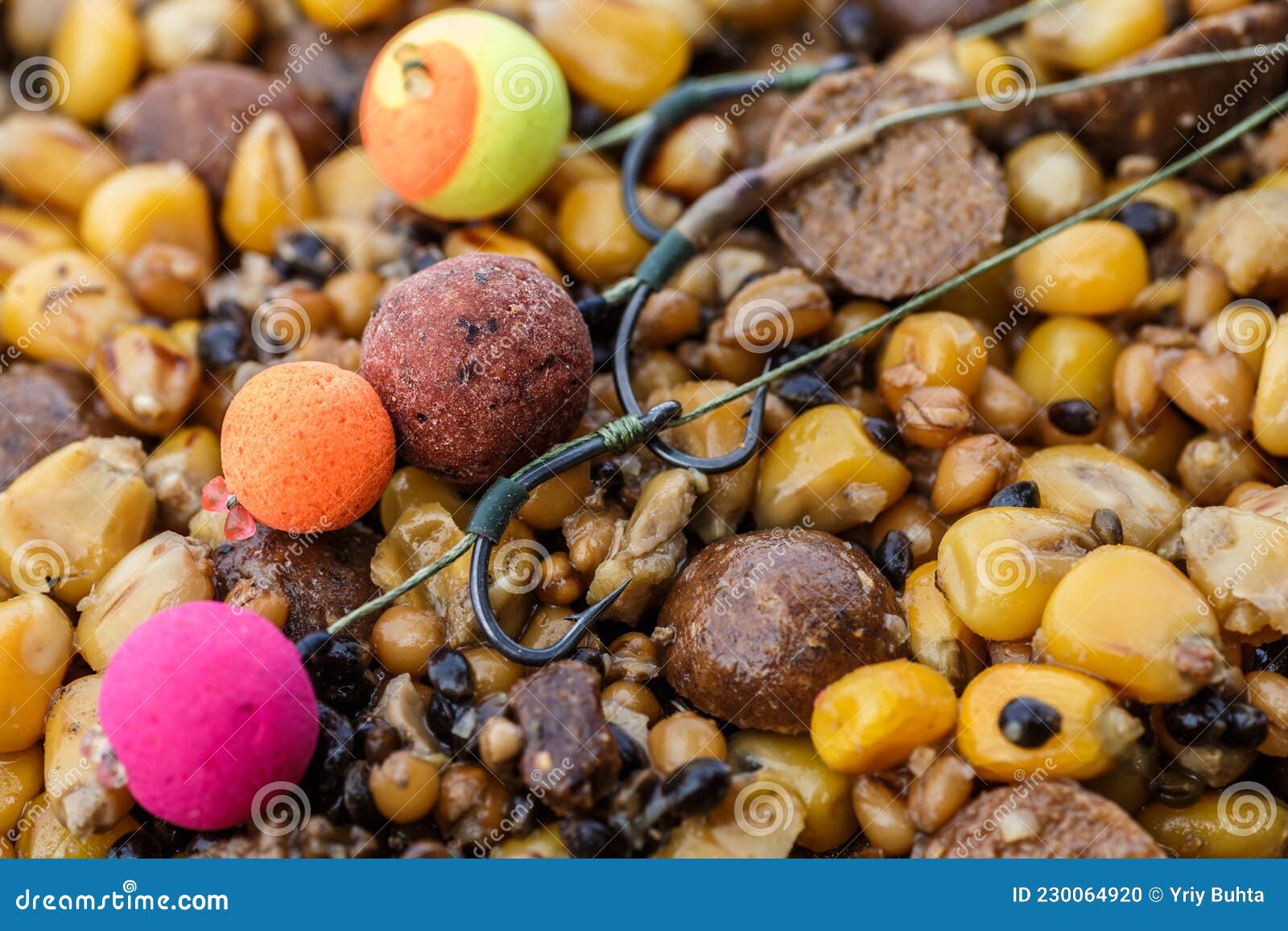 Carp Fishing Chod Rig.the Source Boilies with Fishing Hook. Fishing Rig for  Carps,Carp Boilies, Corn, Tiger Nuts and Hemp Stock Photo - Image of fishing,  bait: 230064920