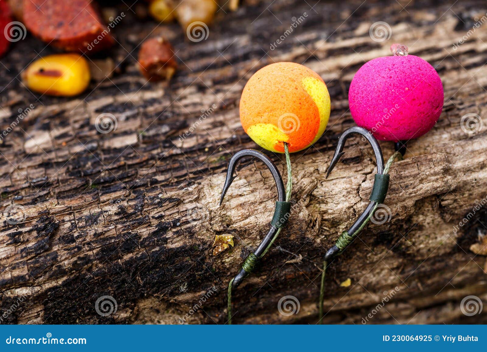 https://thumbs.dreamstime.com/z/carp-fishing-chod-rig-source-boilies-hook-carps-corn-tiger-nuts-hemp-food-230064925.jpg