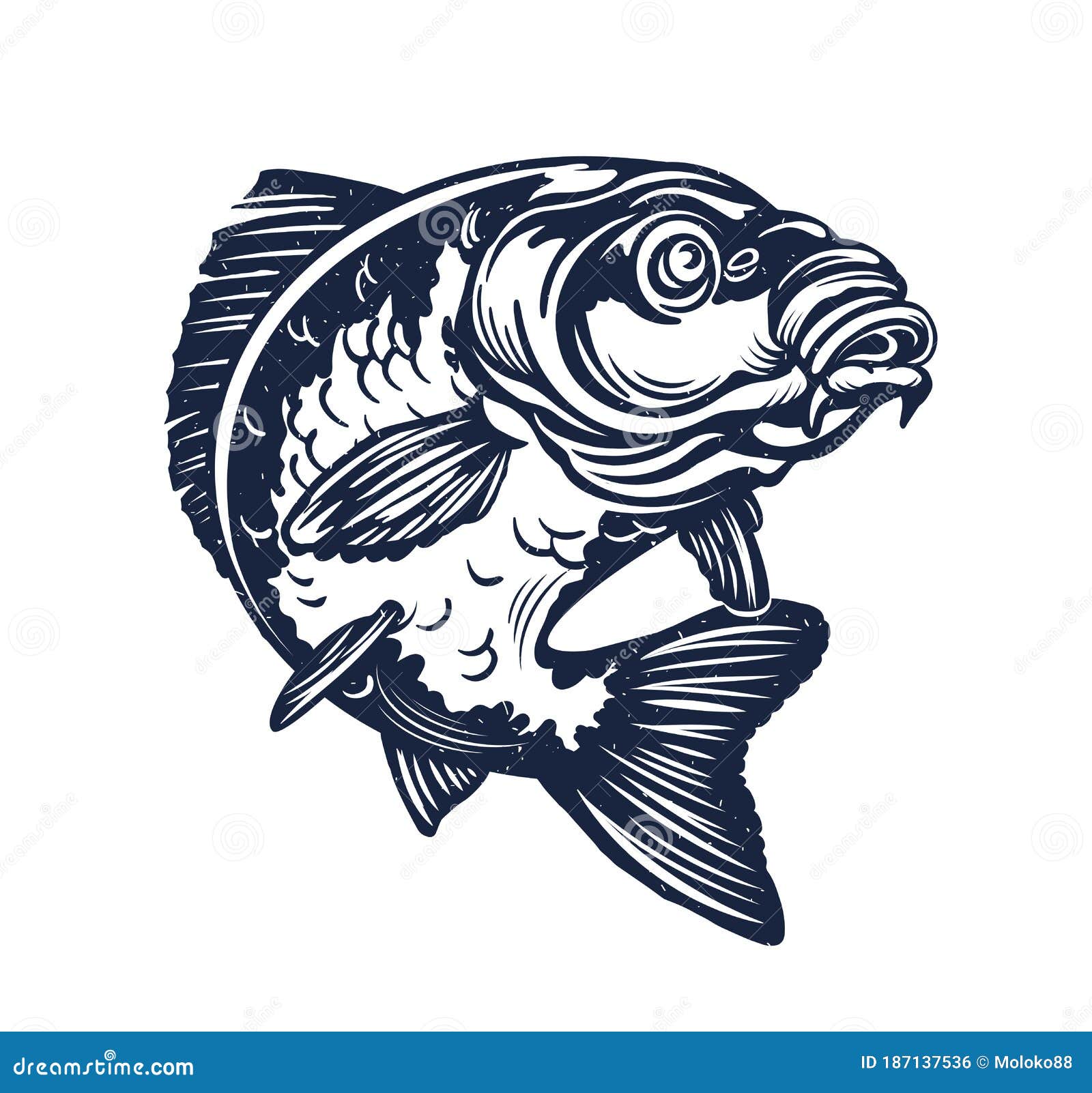 Fishing Carp Stock Illustrations – 8,570 Fishing Carp Stock