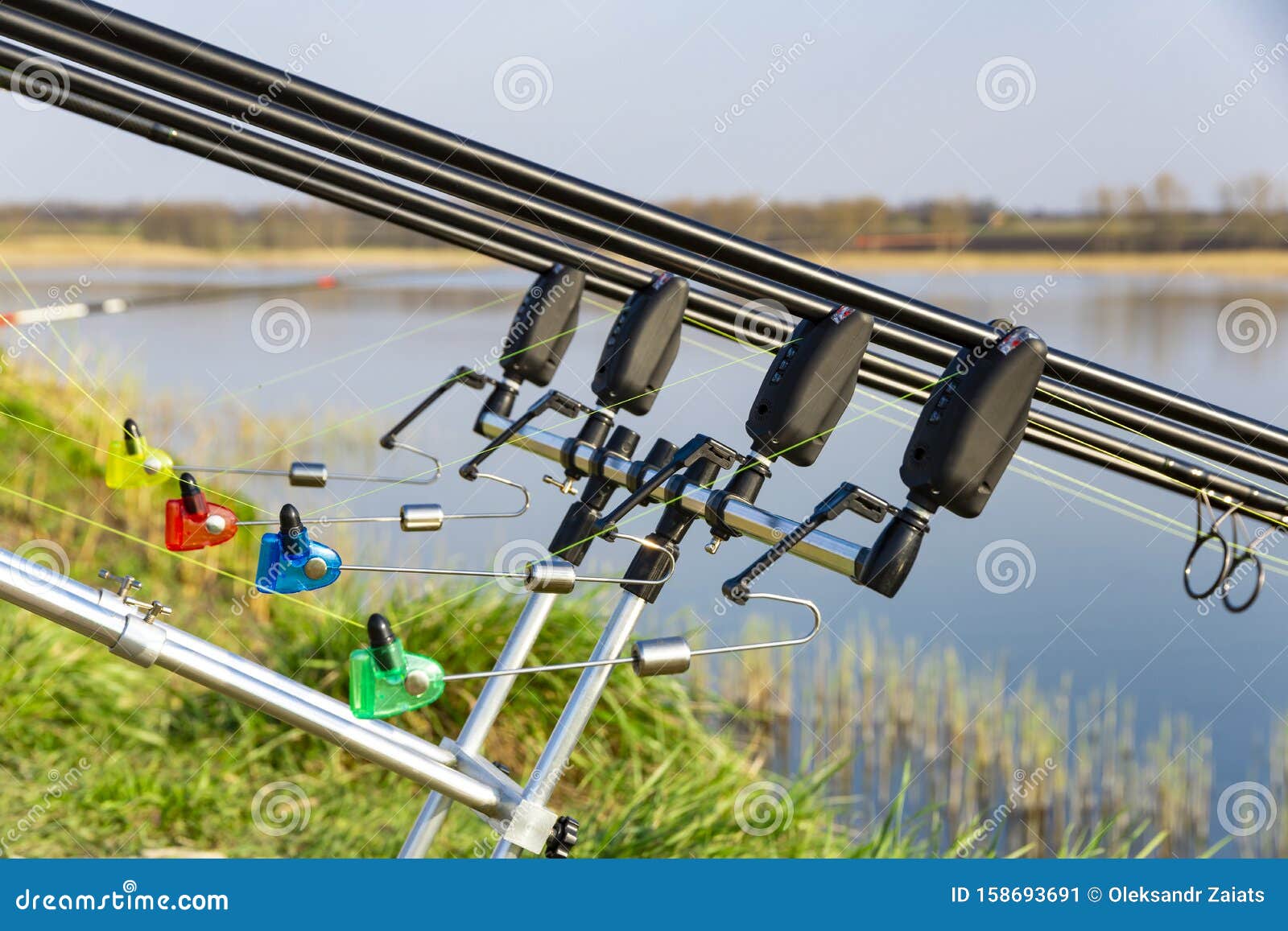 Carp Fishing Rods with Carp Bite Indicators Set Up on Rod Pod Near