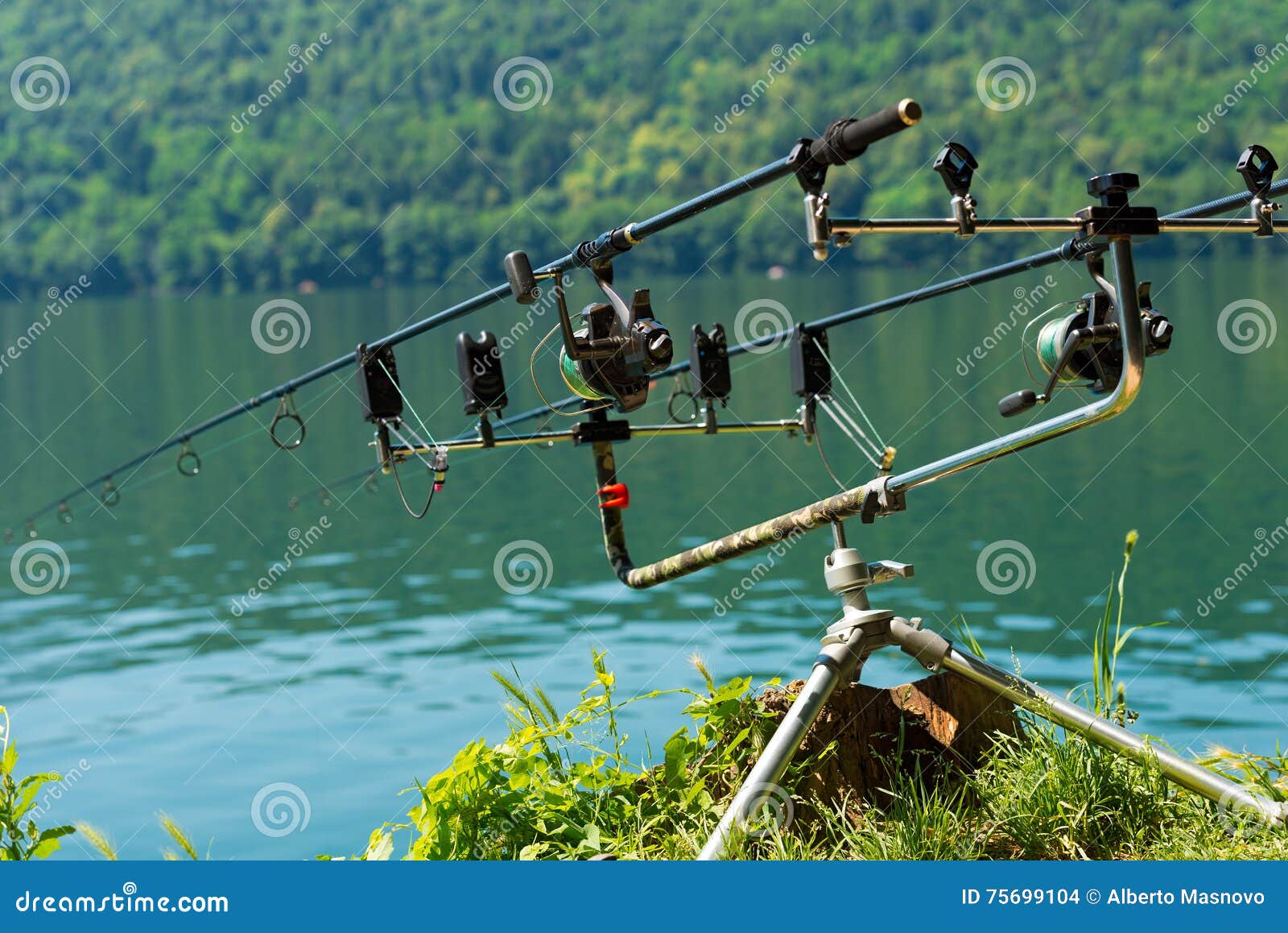 Carp Fishing Rods with Reel on Support System Stock Photo - Image