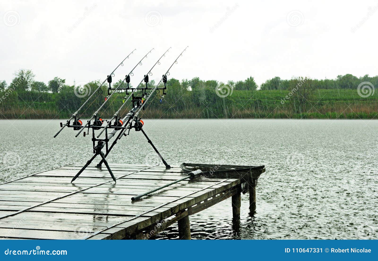 Carp Fishing with Carp Rods on a Rod Pod in Rain Stock Image
