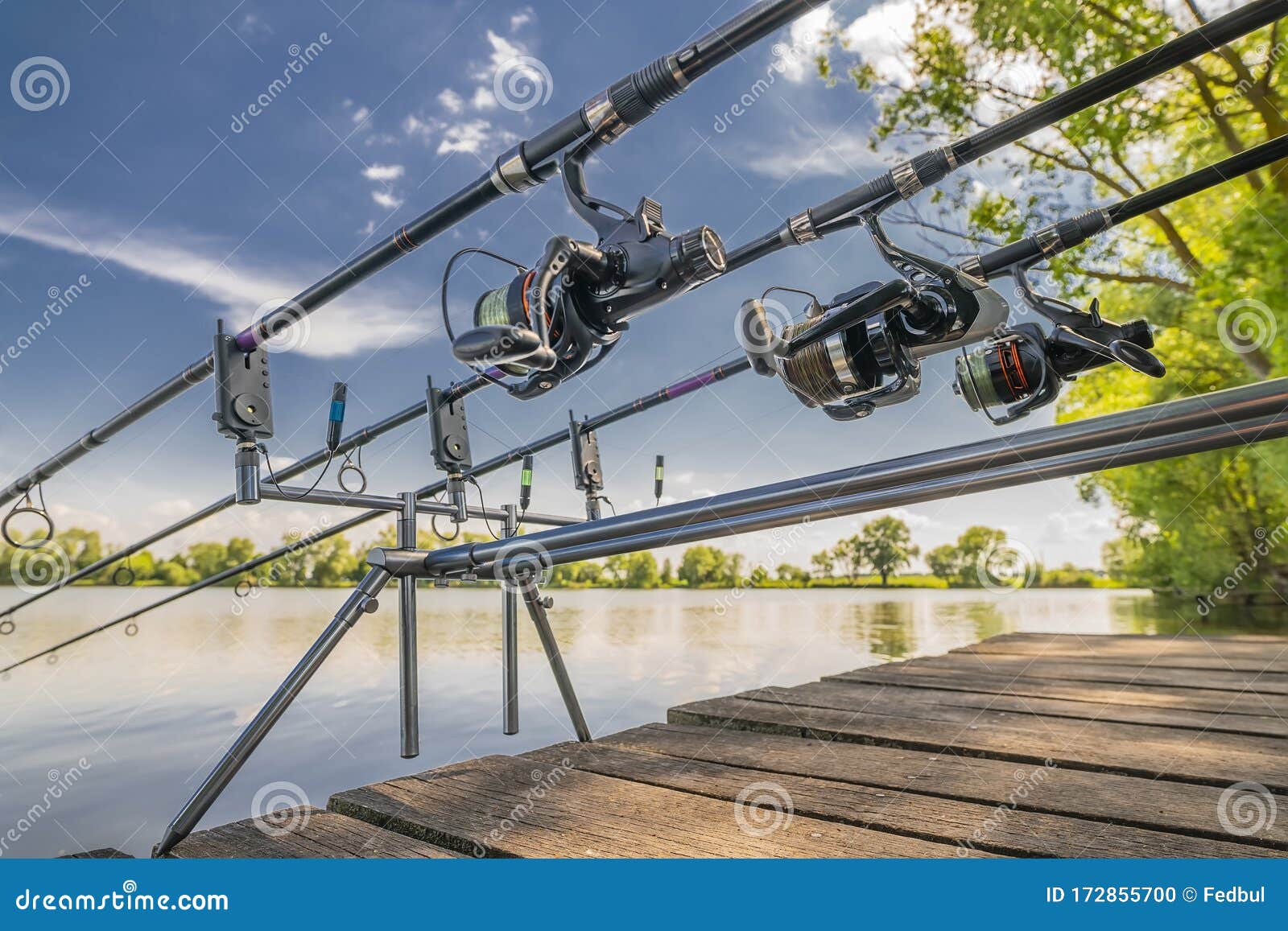 Carp Fishing. Rods on Rod Pod on Wood Platform at Lake Stock Photo - Image  of hobbies, platform: 172855700