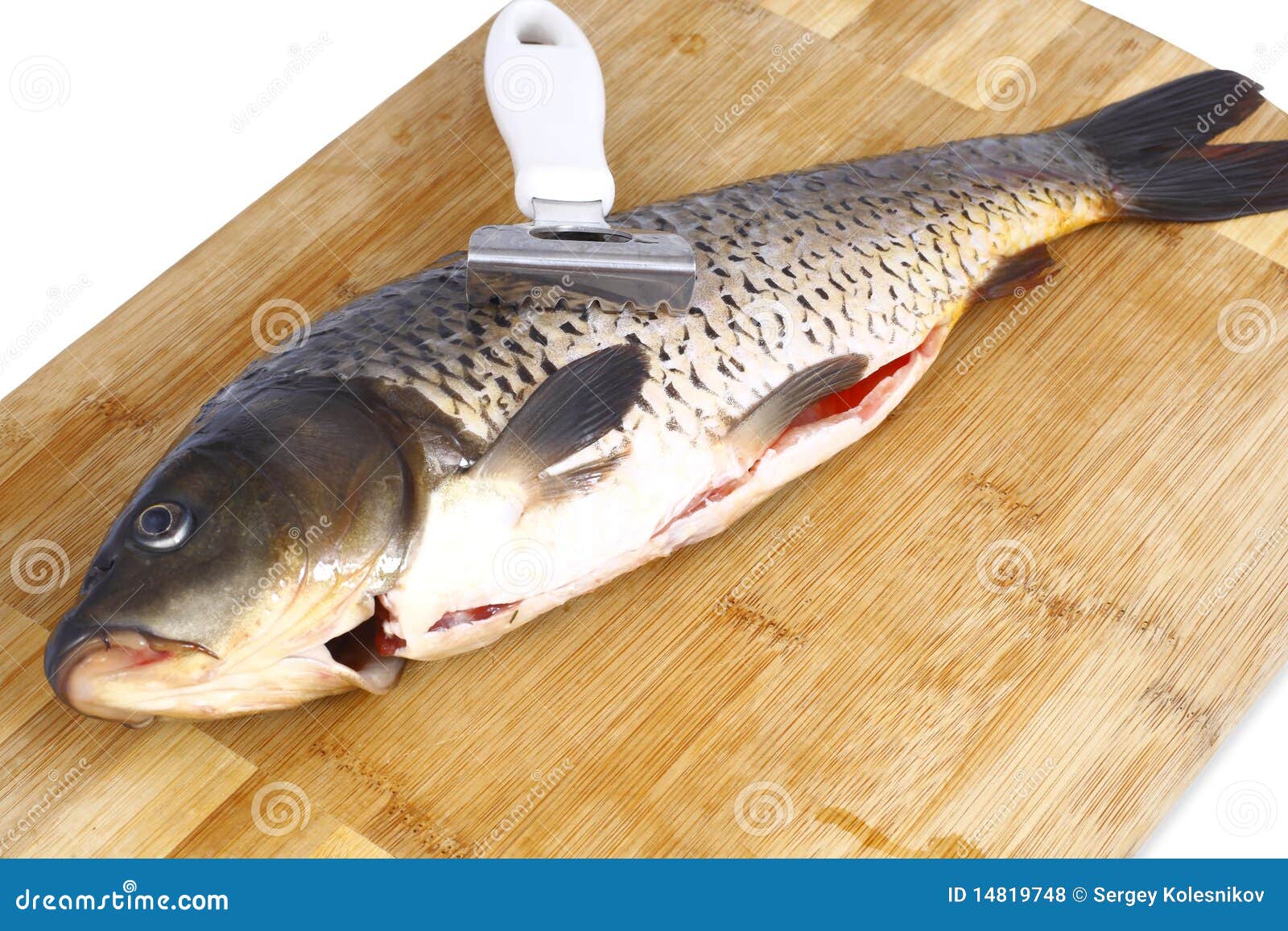 Carp and a Knife for Cleaning Fish Stock Photo Image of carved