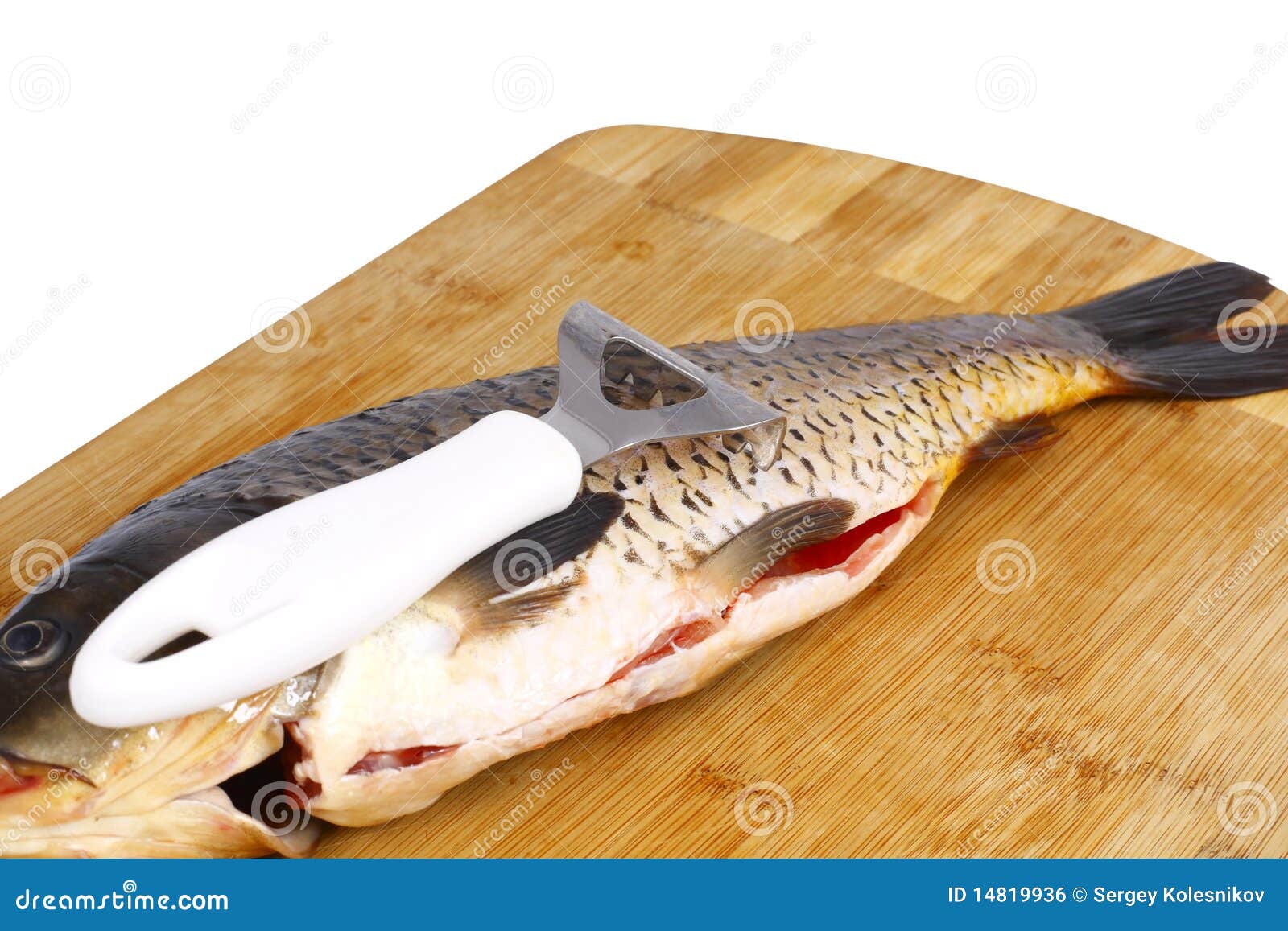 Carp and a Knife for Cleaning Fish Stock Photo Image of meat, kitchen