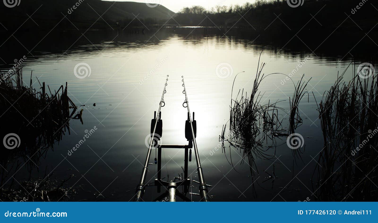 Carp Stand with Two Fishing Rods Stock Photo - Image of calm, carp:  177426120