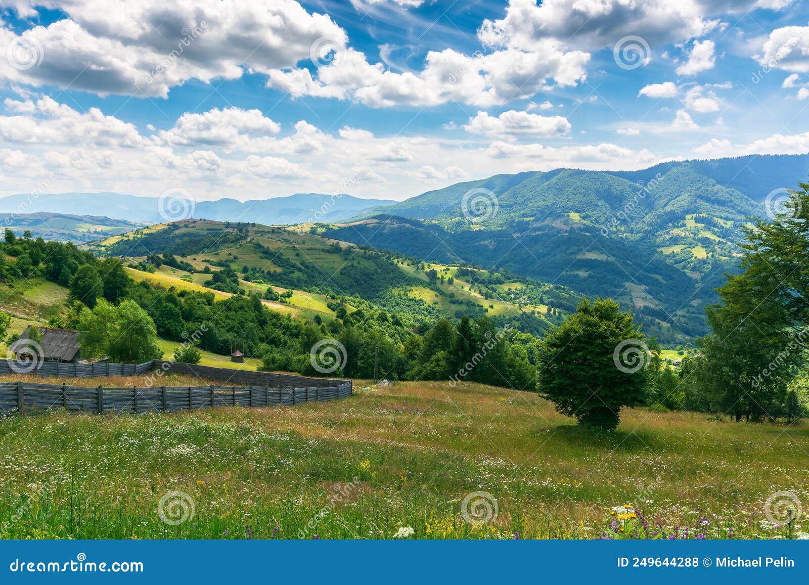 carpathian rural landscape at high noon in summer