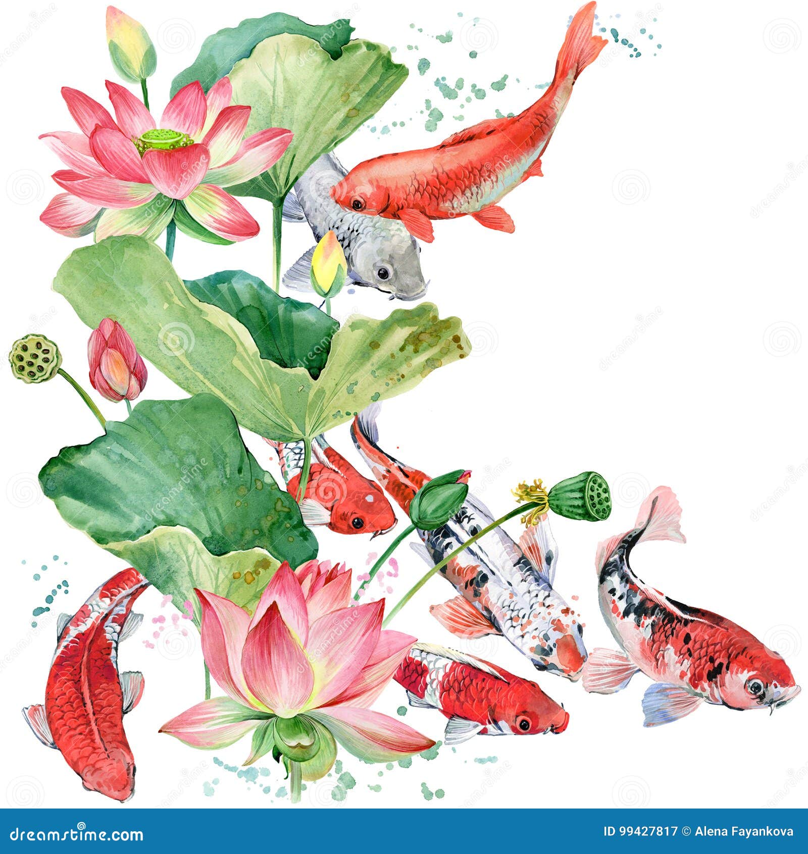 Carpe De Koi Daquarelle Et Fleur De Lotus Illustration De