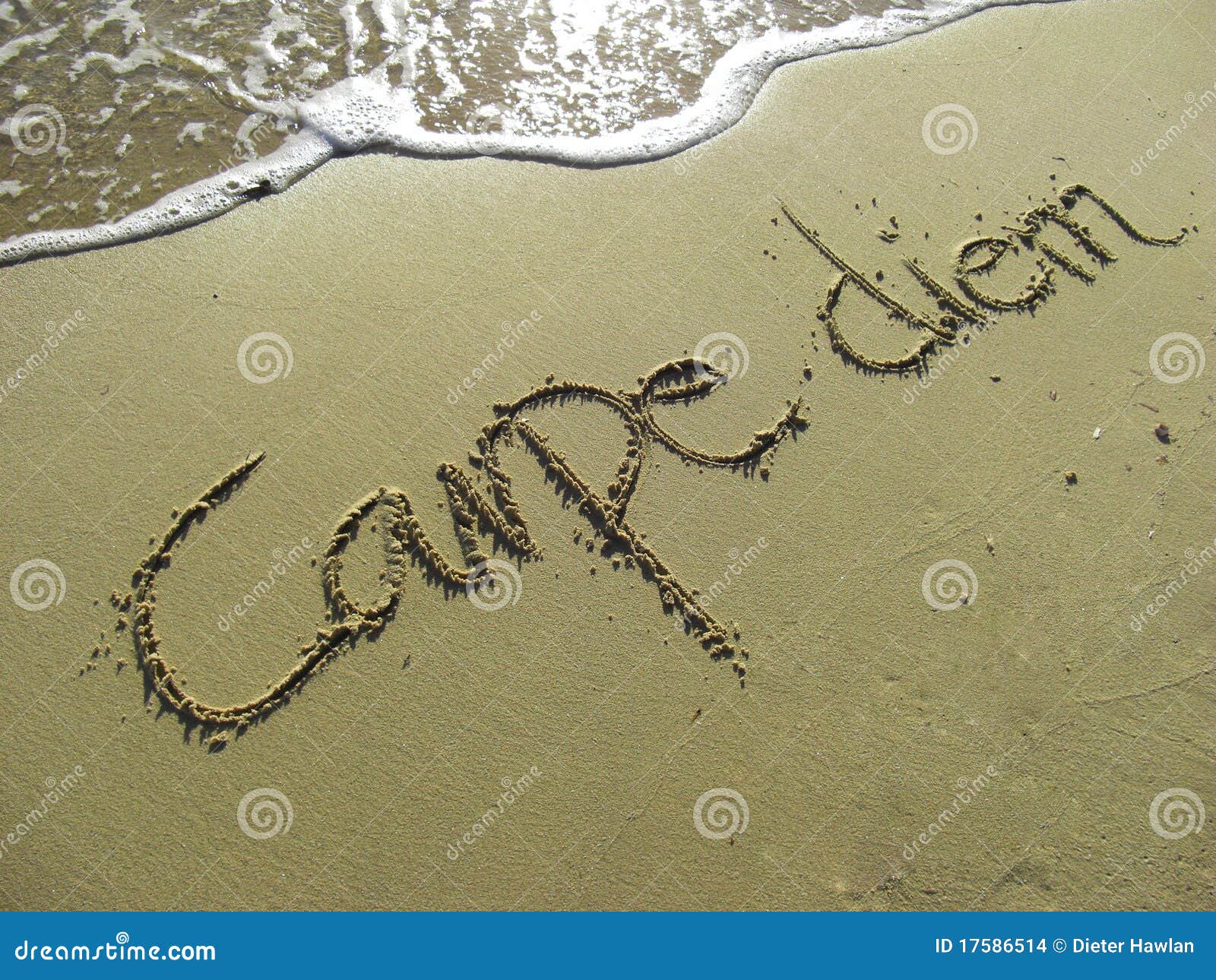 Carpe Diem stock photo. Image of cheerful, energy, phrase ...