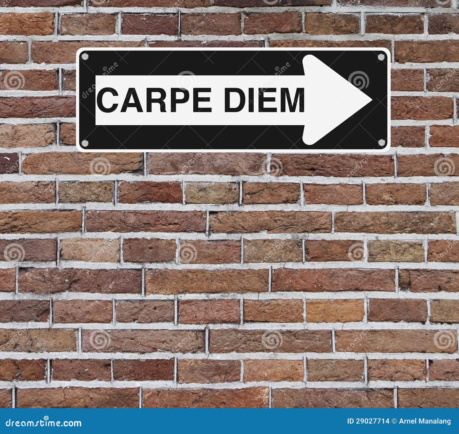 Carpe Diem stock photo. Image of carpe, direction, arrow ...