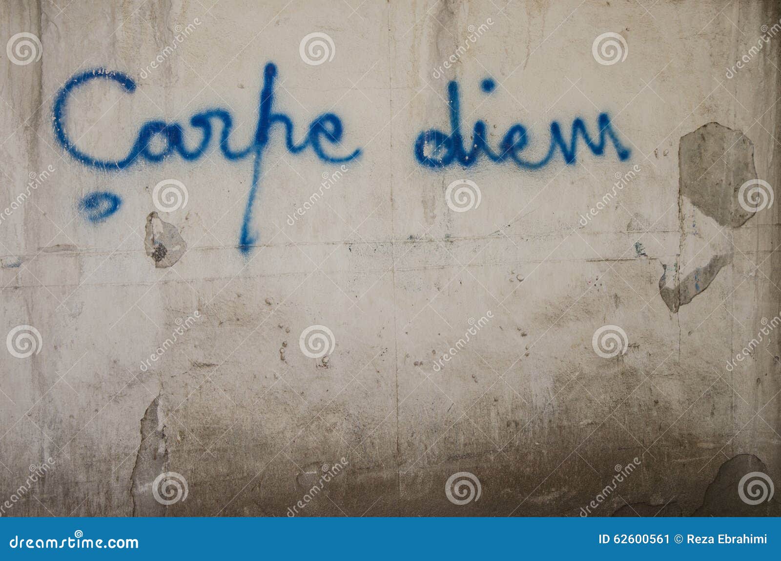 Carpe Diem image stock. Image du diem, graffiti, durée ...