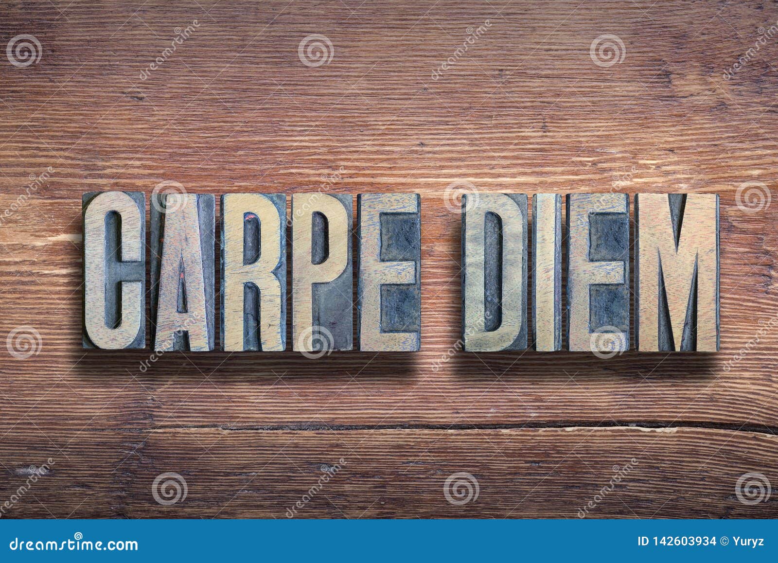 Carpe Diem Bois D Expression Photo Stock Image Du Romain Weathered