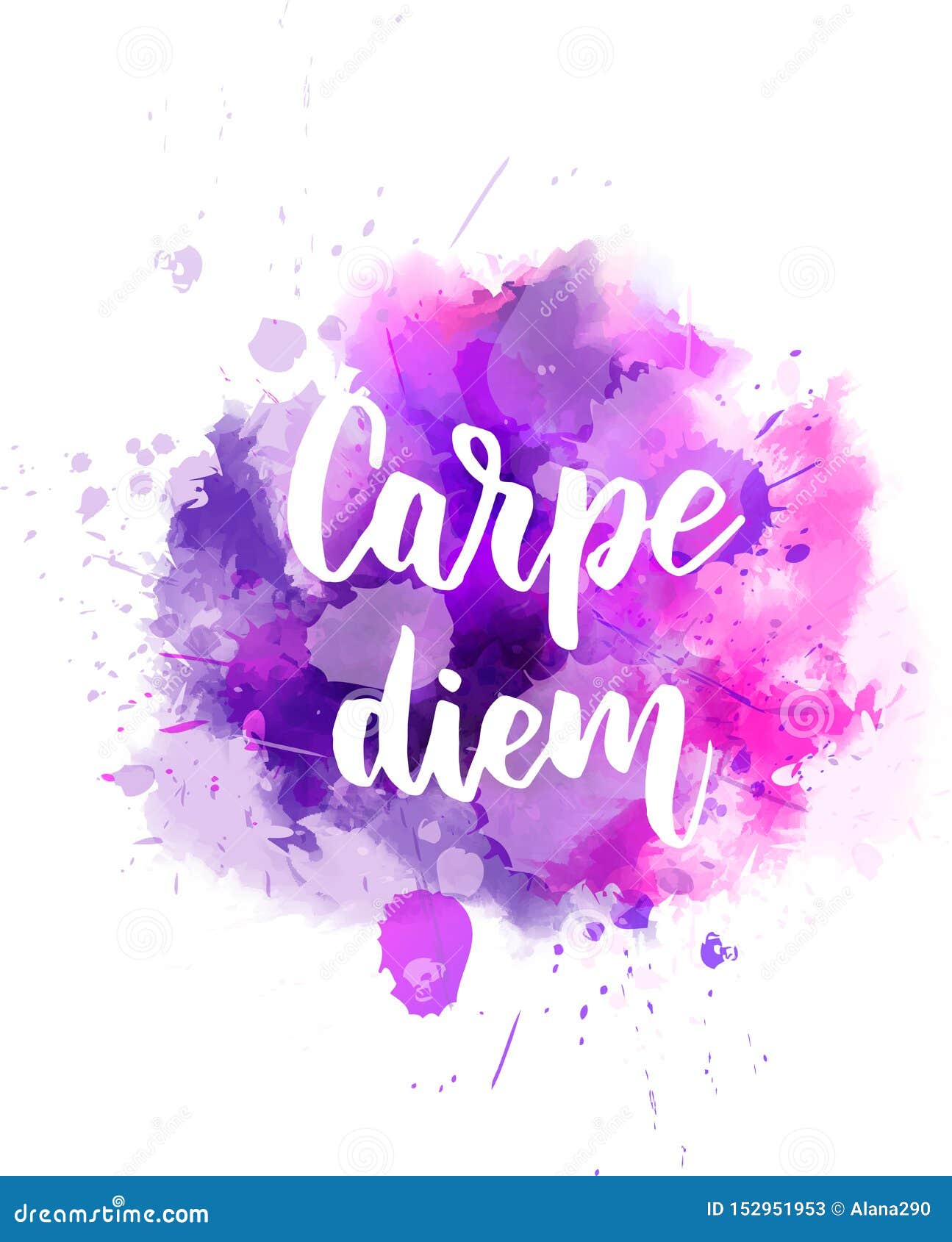 Carpe Diem - Photography & Abstract Background Wallpapers on