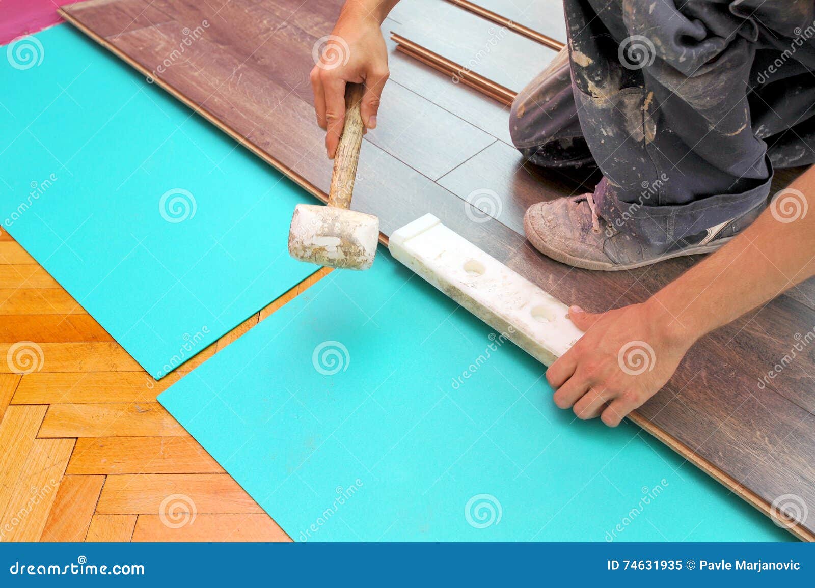 Carpenter Doing Laminate Floor Work Stock Image Image of flooring