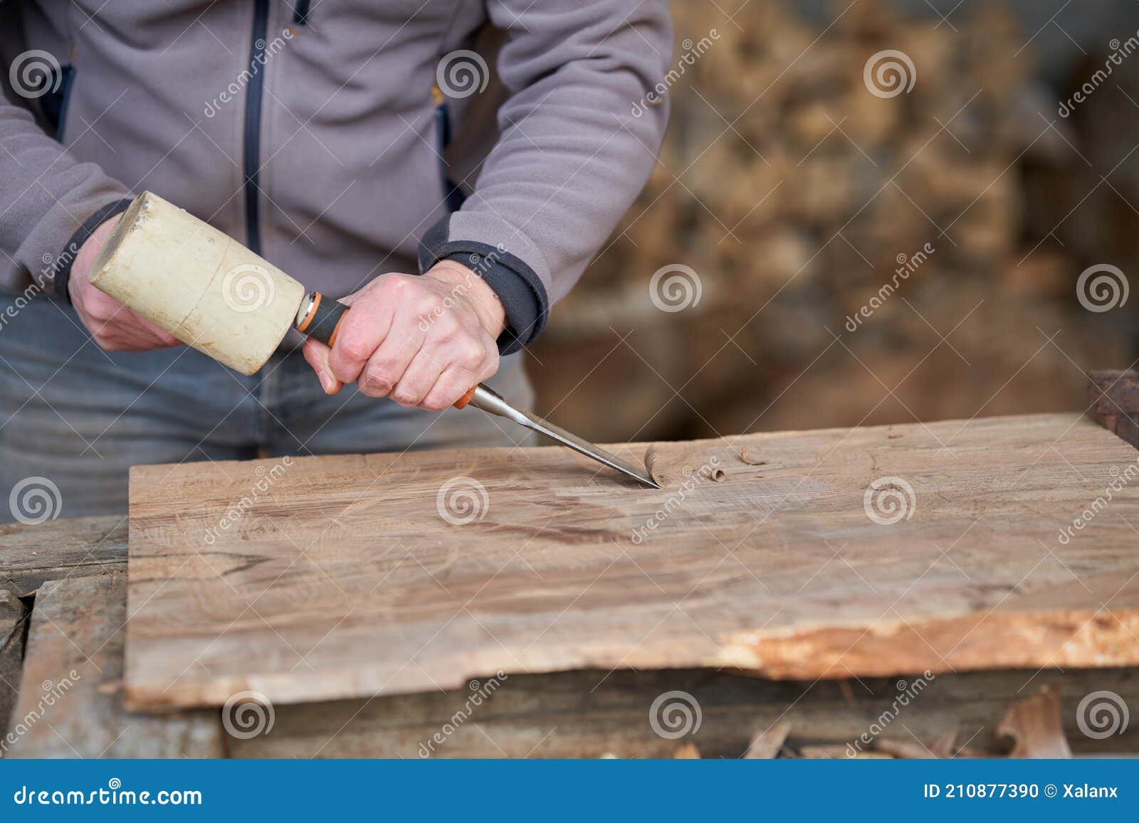 Carpenter Chiseling Walnut Wood Stock Photo Image of carver, industry