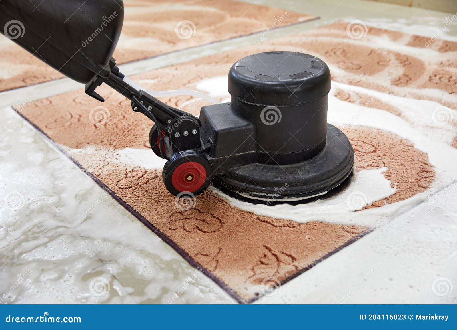Carpet Chemical Cleaning with Professionally Disk Machine. Early Spring
