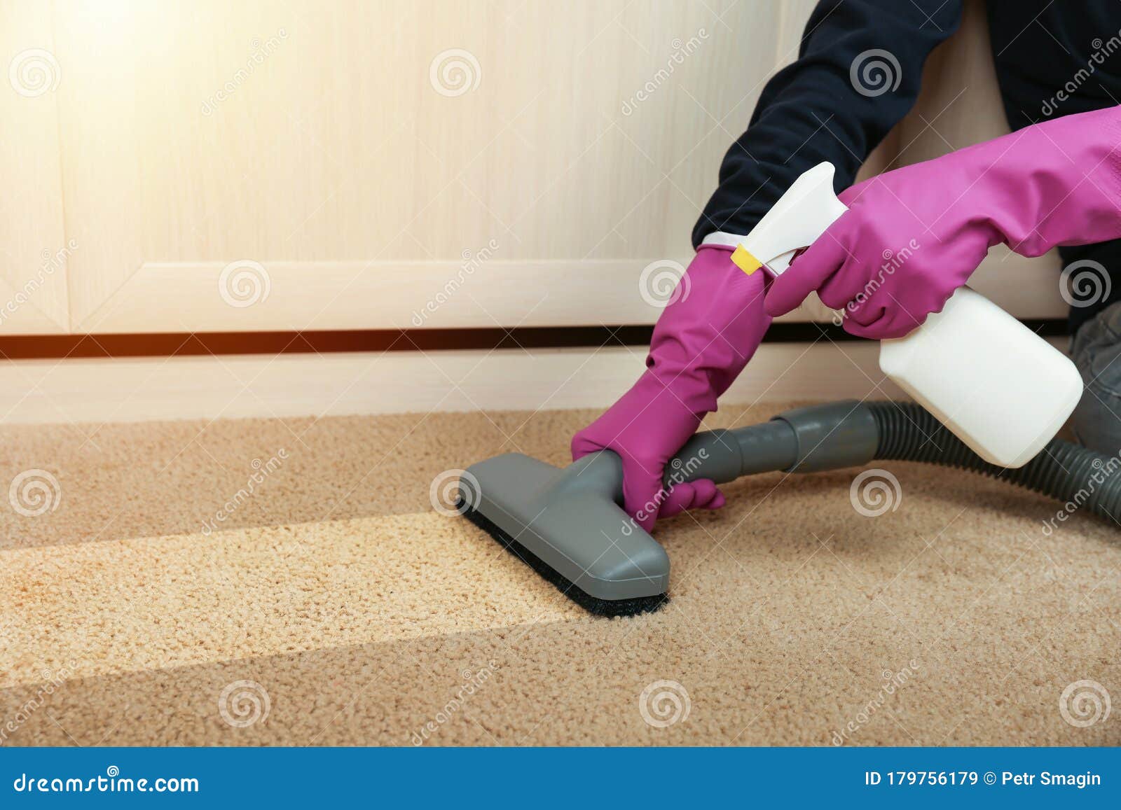 carpet cleaning concept. cleaner`s hand in gloves sprays cleaning agent on the carpet and vacuums it.