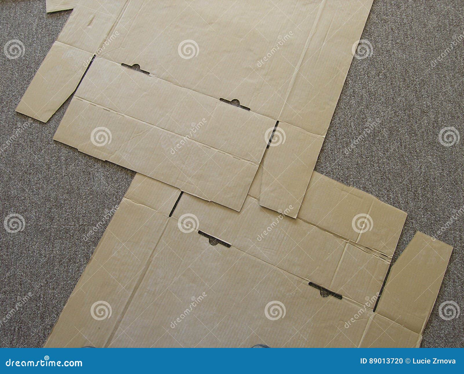 Carpet Making Process on a New Floor Stock Photo Image of swatch