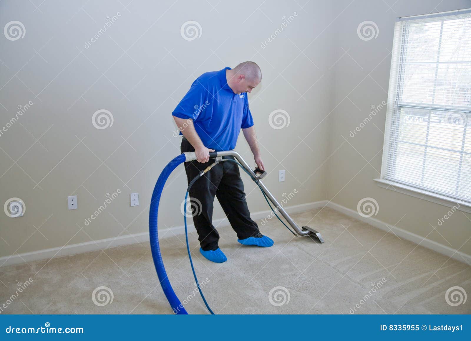 Carpet steam cleaning stock image. Image of clean, mold 8335955