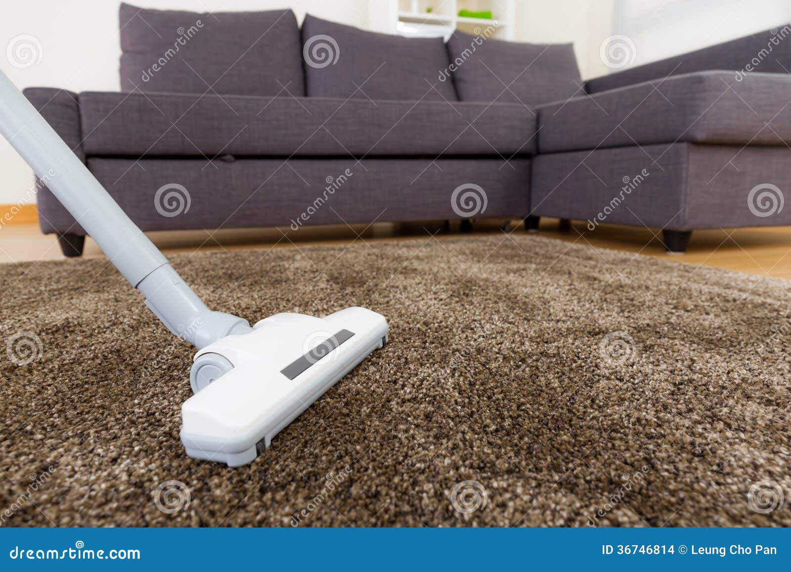 Carpet with Vacuum Cleaner in Living Room Stock Photo Image of pipe