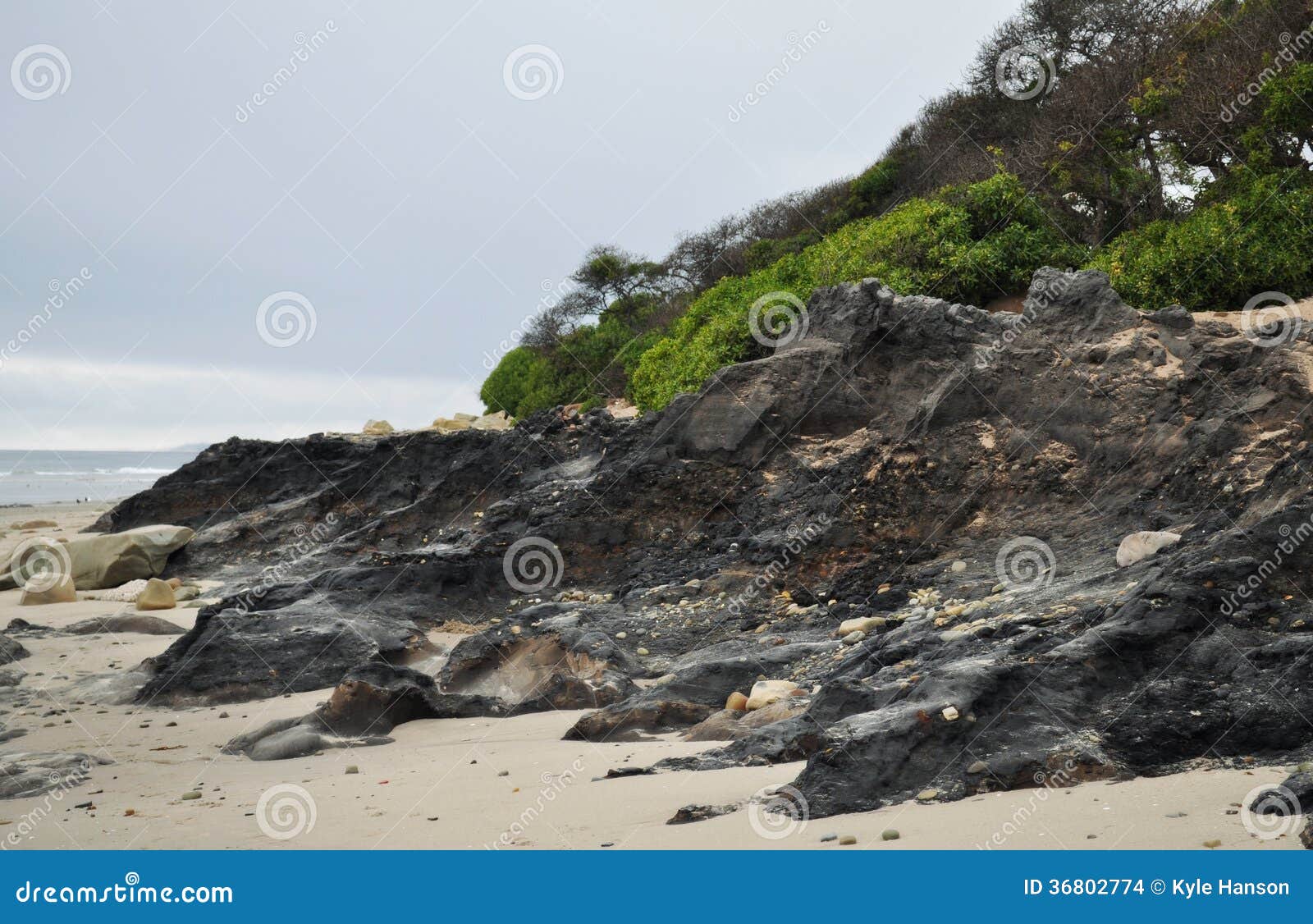 carpinteria beach, tar pit park, central coast