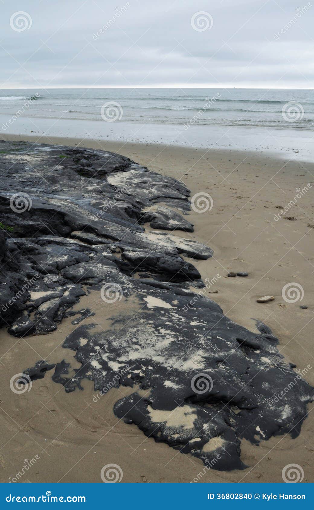 carpinteria beach, tar pit park, central coast