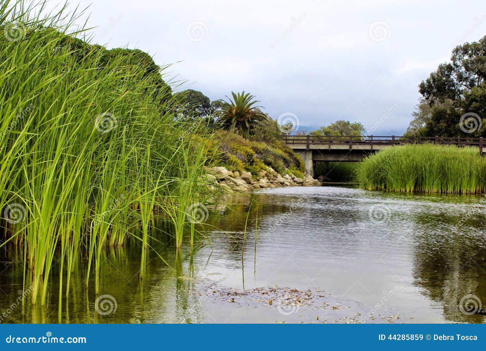 carpinteria california beach river