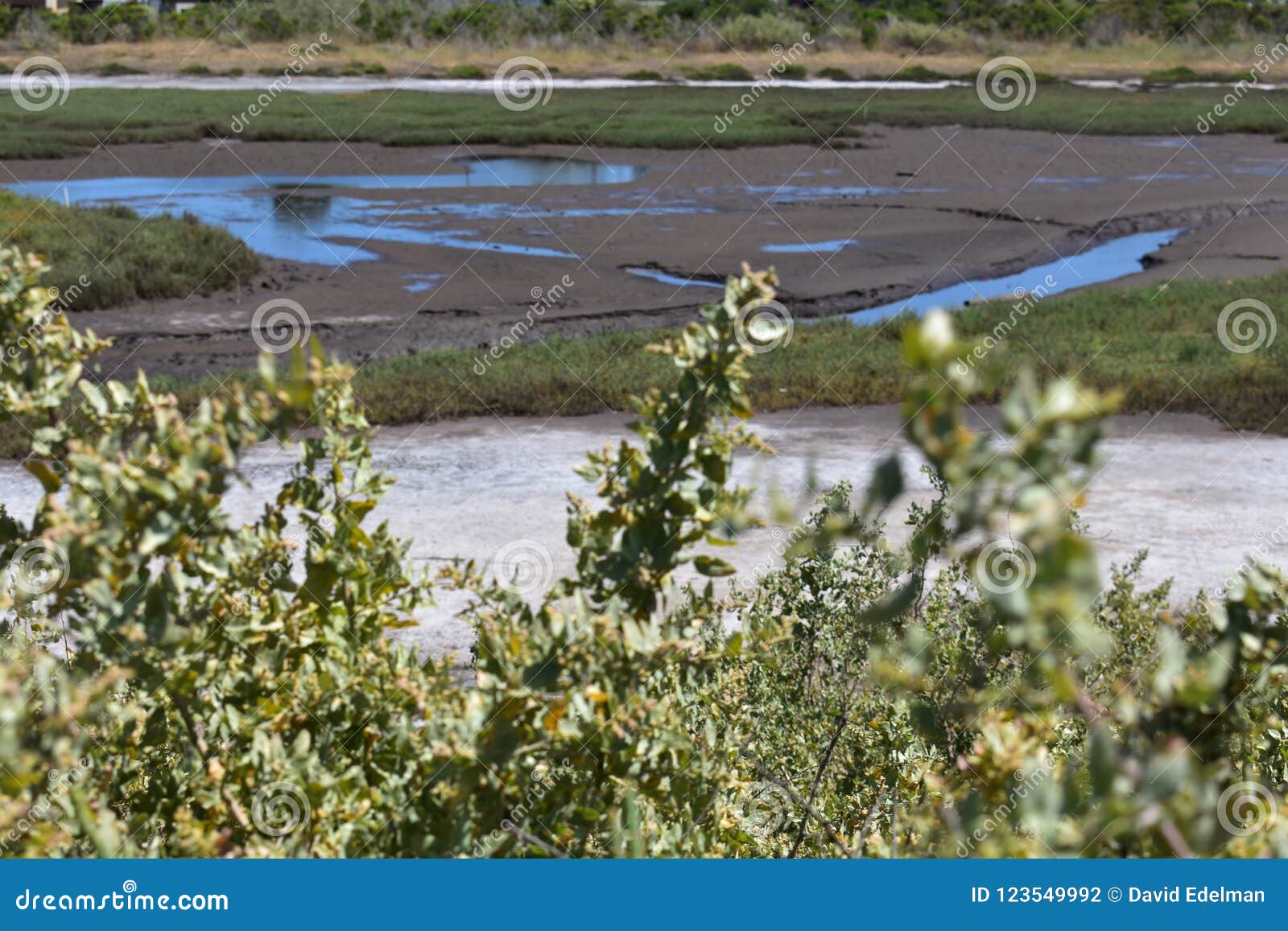 carpinteria salt marsh nature park, 14.