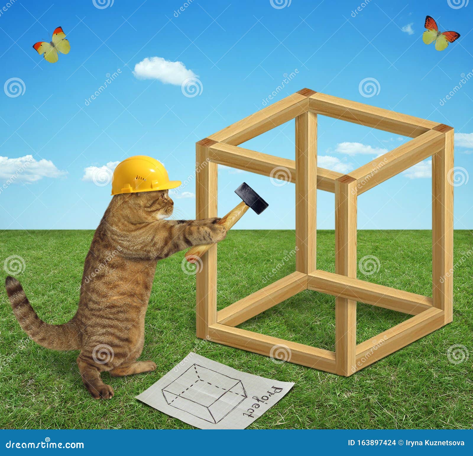 Carpintero De Gato Cerca De Un Cubo Imposible Foto de archivo - Imagen de  positivo, mascotas: 163897424