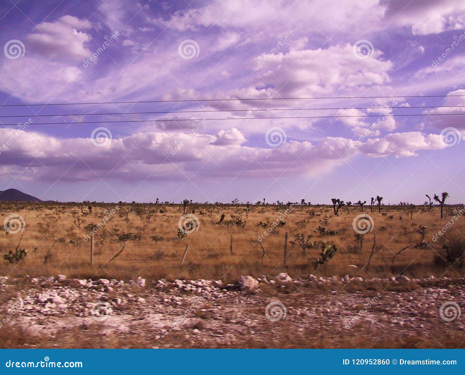 Carretera Saltillo Zacatecas Stockfoto Bild von mexiko, wüste 120952860