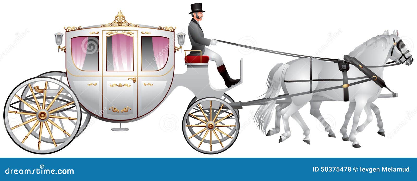 carriage, horse-drawn white wedding crew