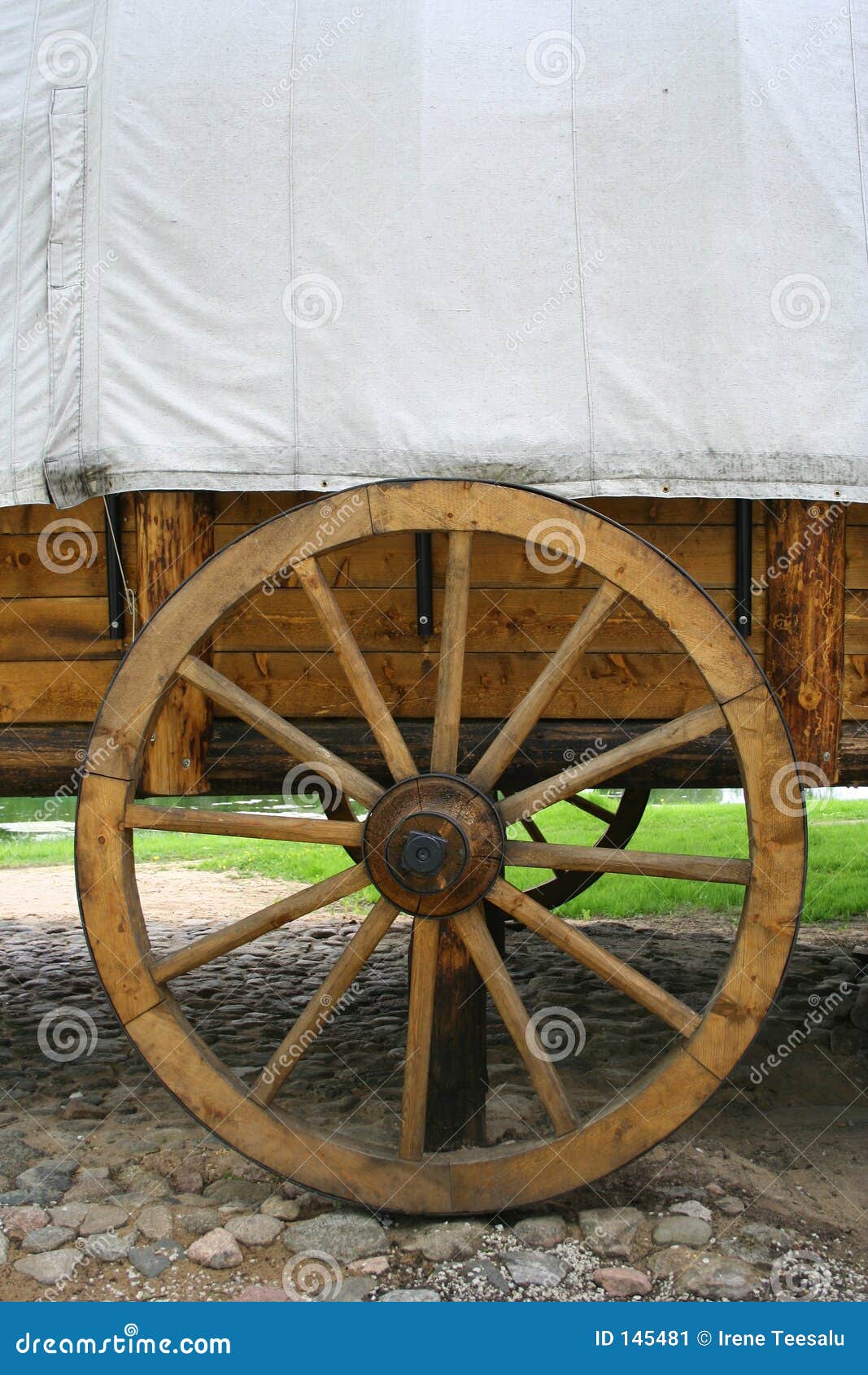 Carriage and wheel stock image. Image of transportation 145481