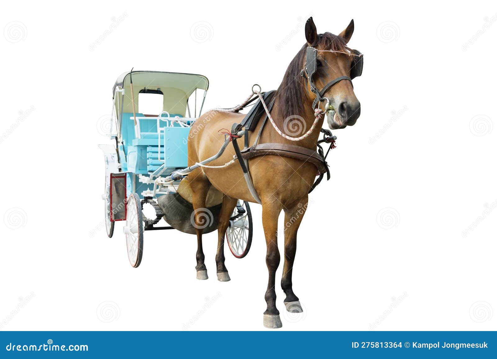 Carriages Pulled by a Horses, Focus Selective Stock Photo Image of