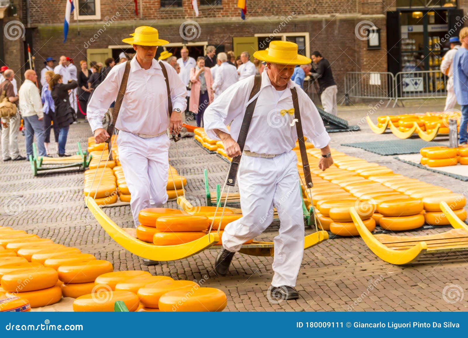 Carriers Walking with Many Cheeses in the Famous Dutch Cheese Market ...