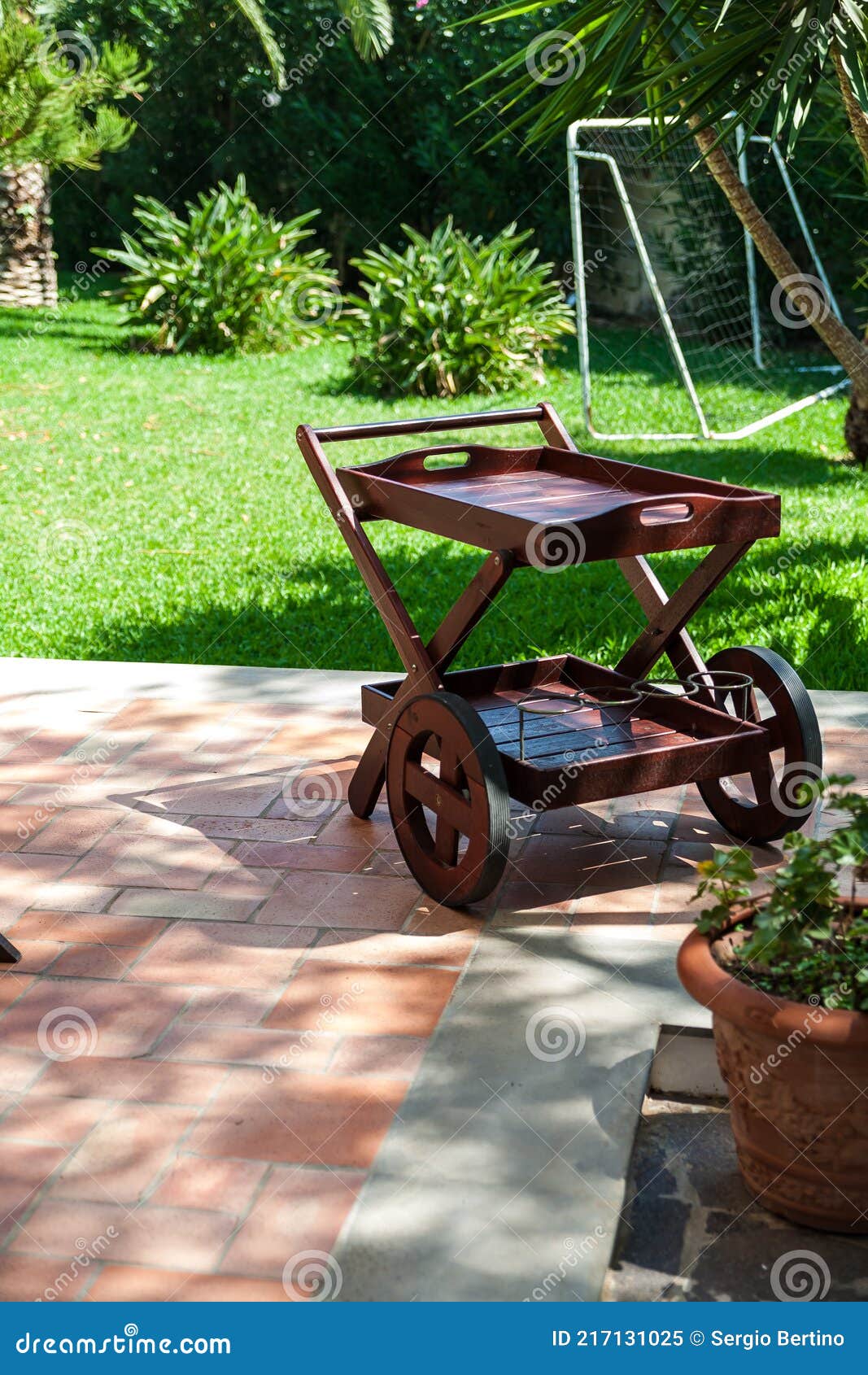 Carrito De Jardín Y Piscina Imagen de archivo - Imagen de plantas, madera:  217131025