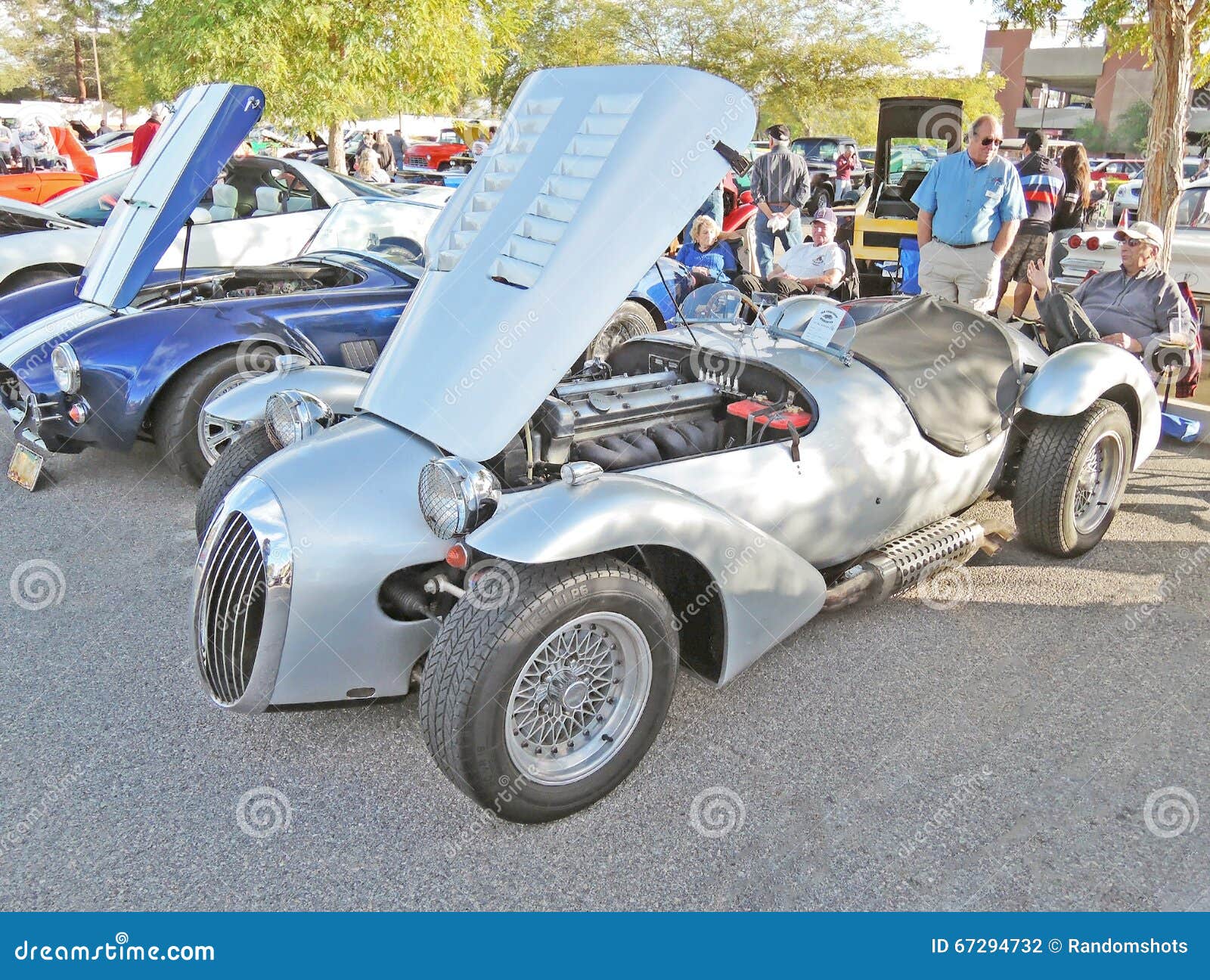 Jaguar Durante a Antiga Corrida Aos Carros De Turismo Imagem de