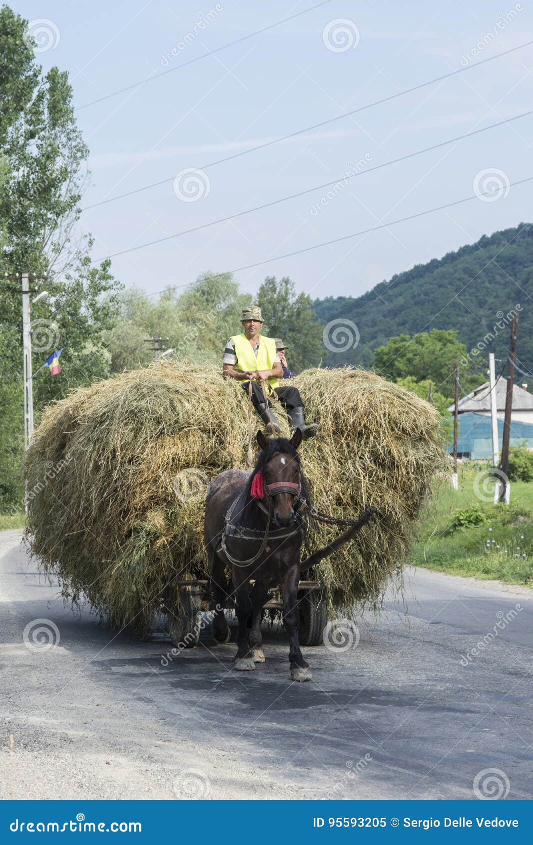 Raque Histórico De Feno Rake Grief Rake Costumava Ser Puxado Por Cavalo  Imagem de Stock - Imagem de usado, velho: 232204351