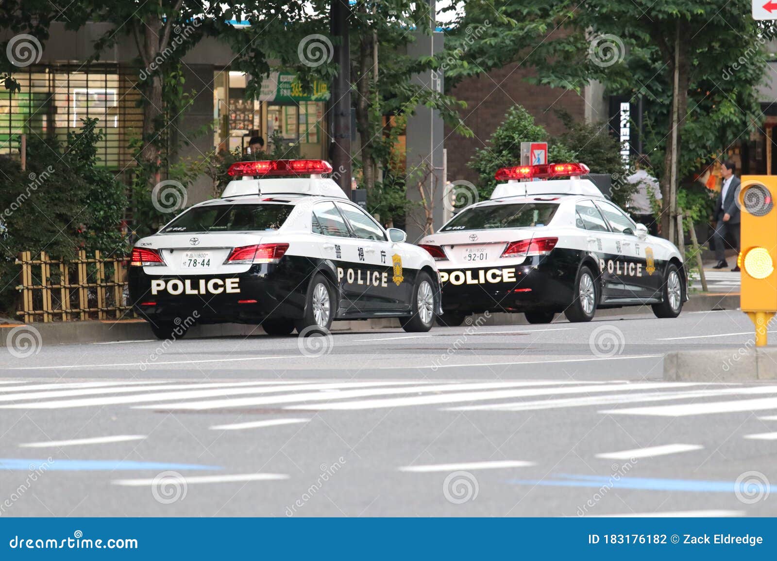 Carro de Polícia Japonês - Quebra-Cabeça - Geniol