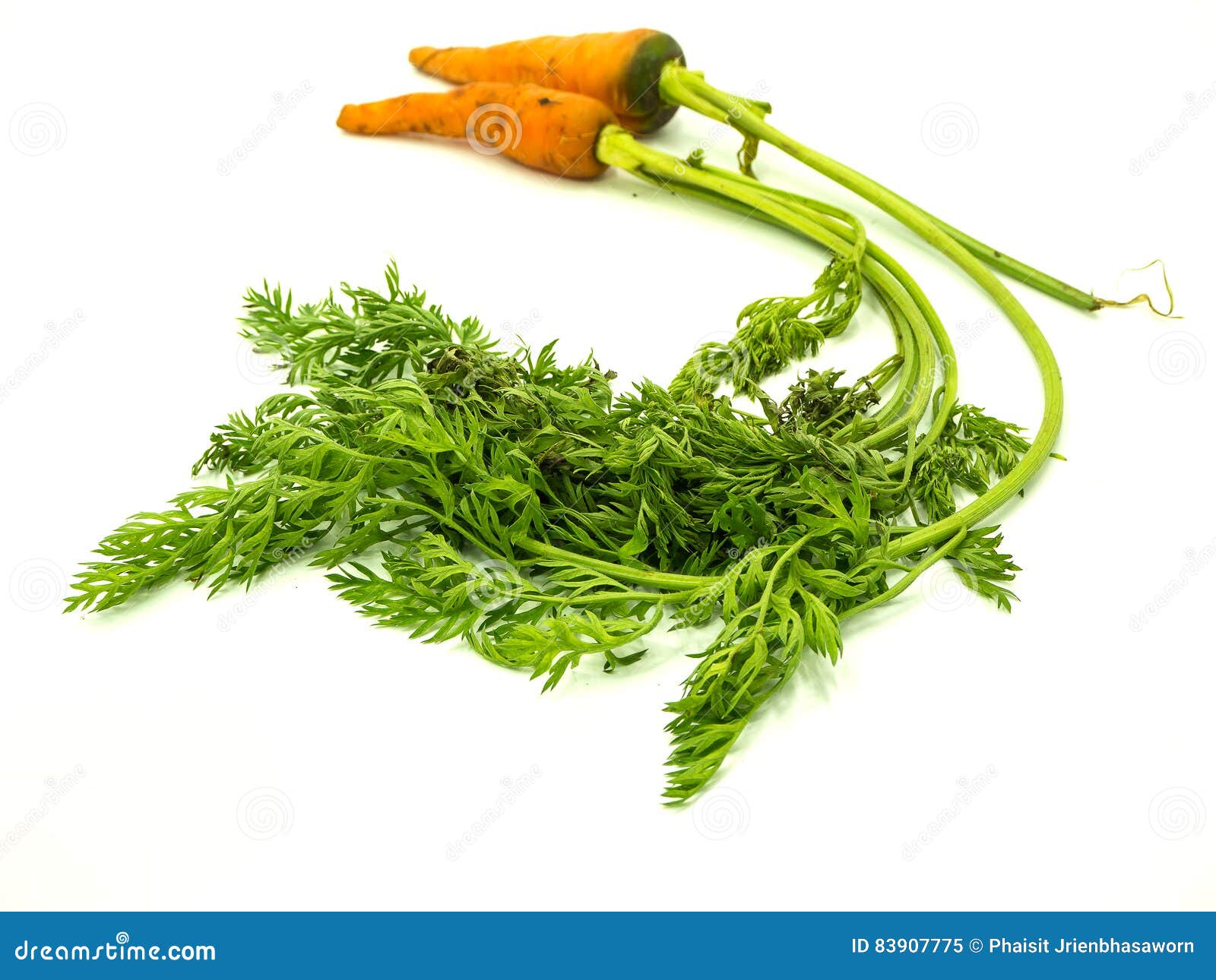 Carrot stock image. Image of fresh, carrot, organic, natural 83907775