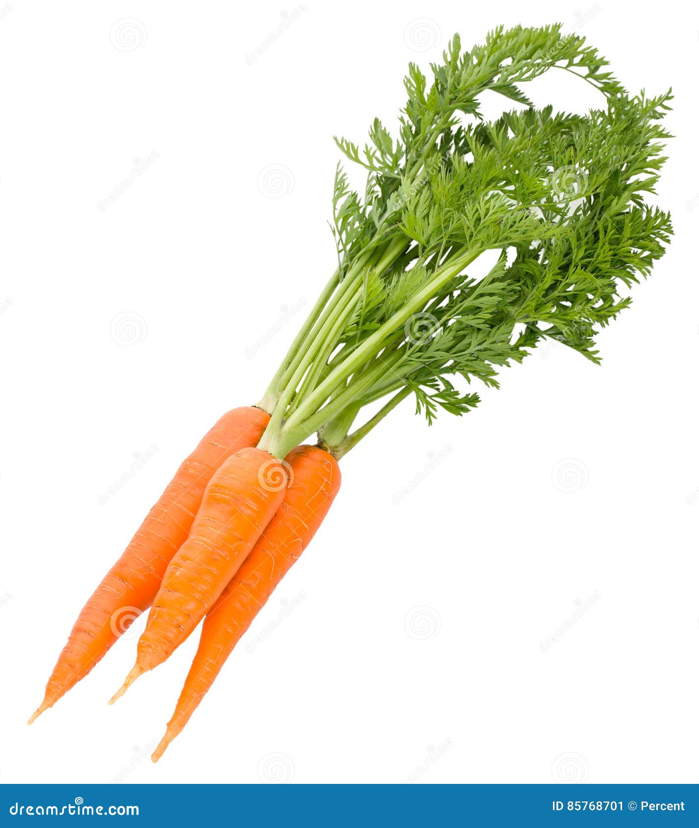 Close-up carrot bunch with green leaves, isolated on white