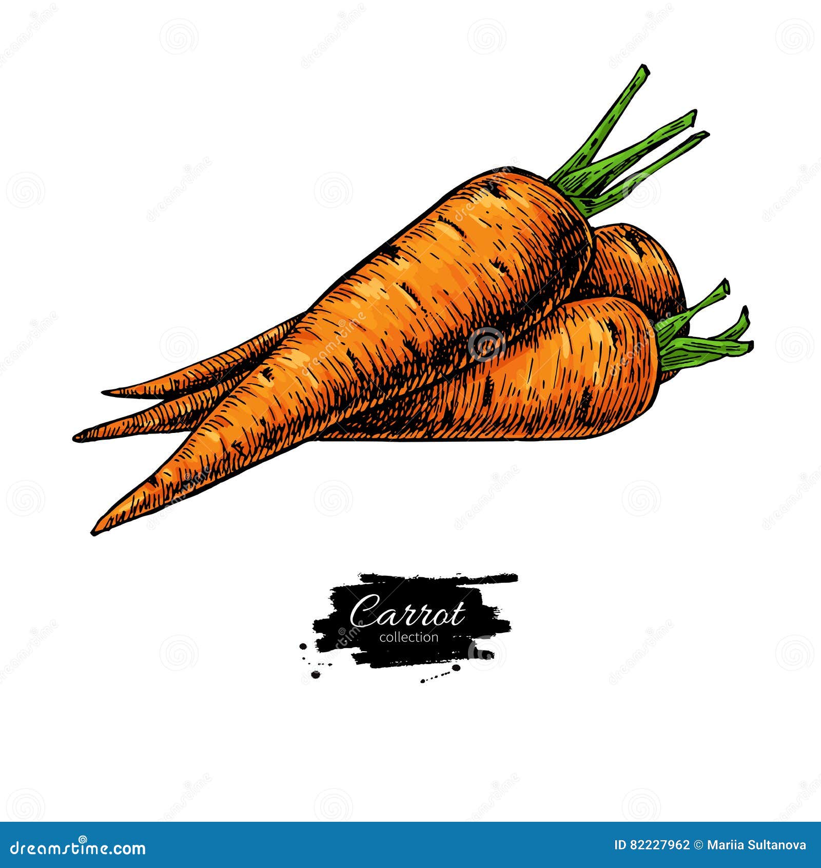 Realistic Carrot Plant Botanical Illustration Pattern on White Background |  MUSE AI