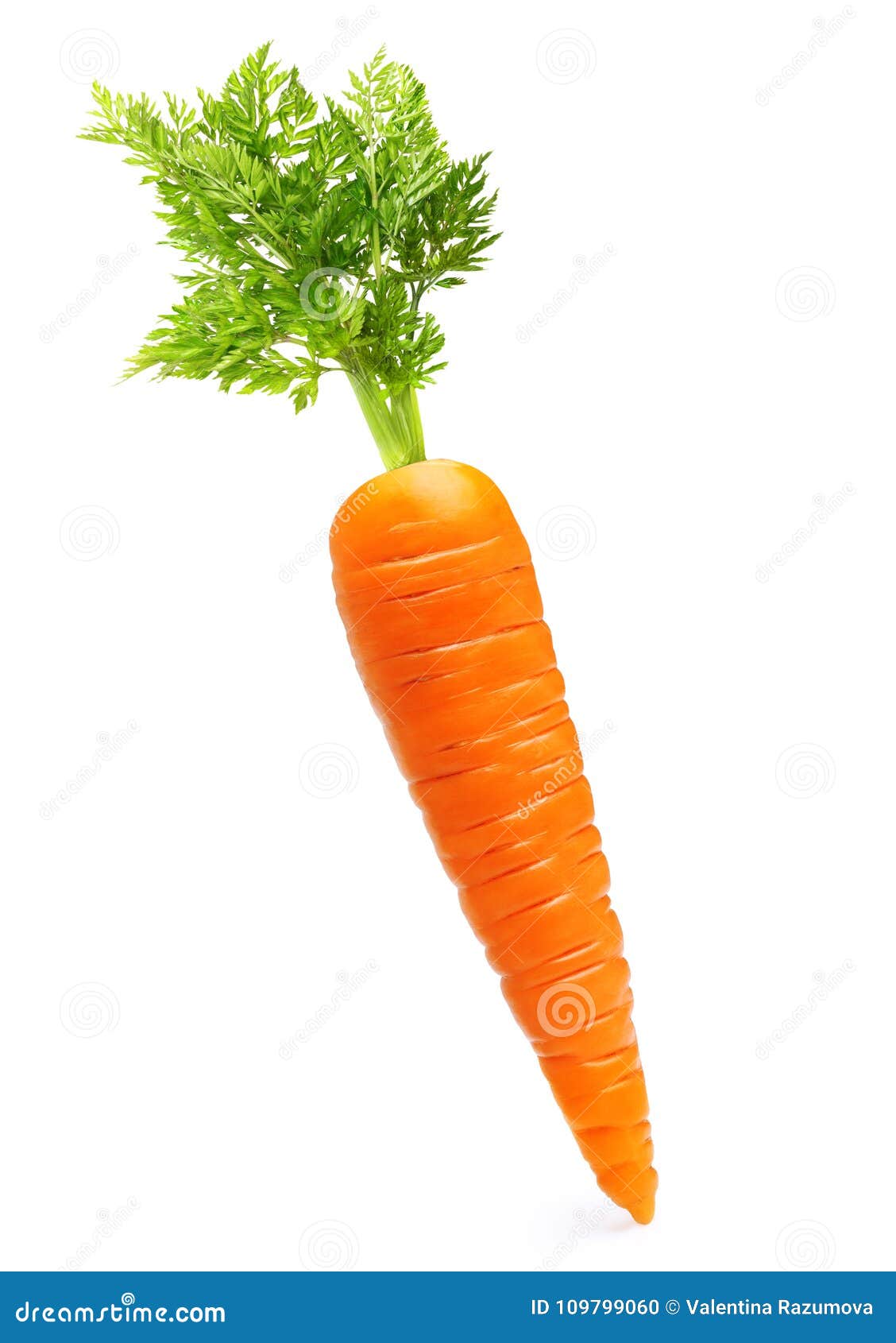 carrot  on white