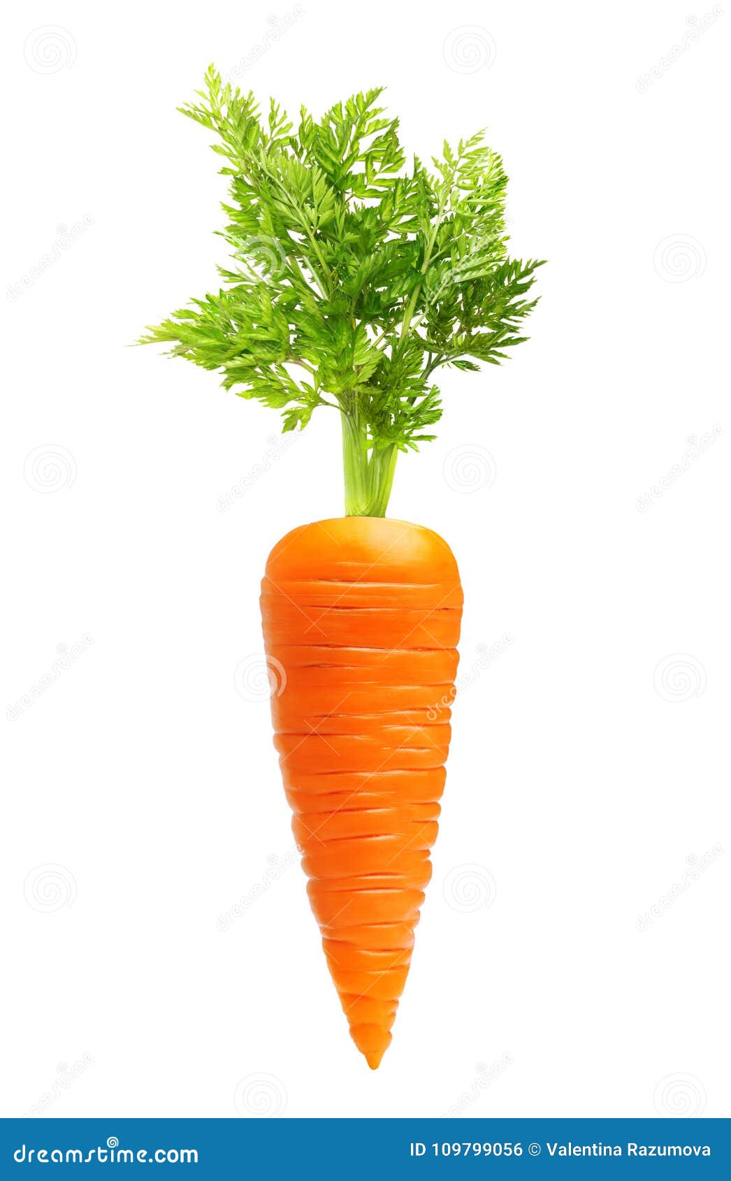 carrot  on white